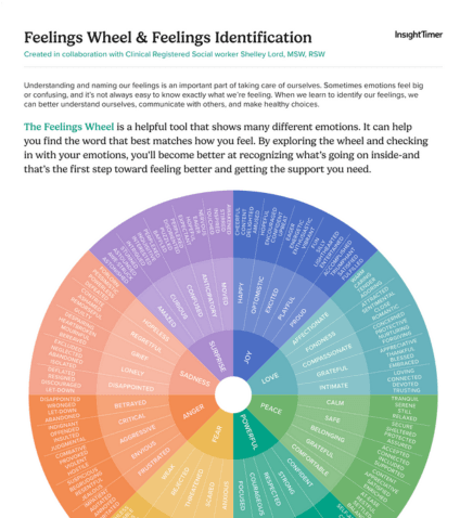 Feelings Wheel & Feelings Identification