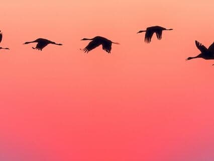 Meditation for conflict