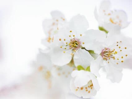 Navigating Grief And Anger With Dr. Kate Truitt