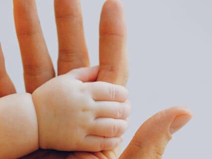 Guided Re-Parenting Process