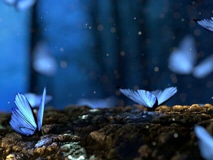 Butterfly Hugs Meditation For Kids