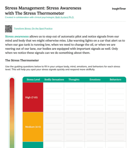 Stress Management: Stress Awareness with The Stress Thermometer