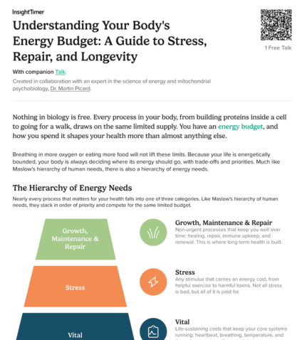 Understanding Your Body's Energy Budget: A Guide to Stress, Repair, and Longevity