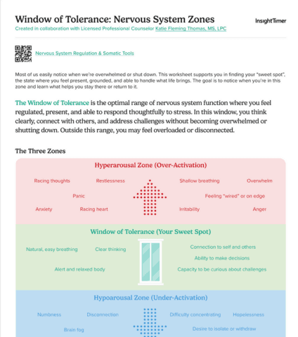Window of Tolerance: Nervous System Zones