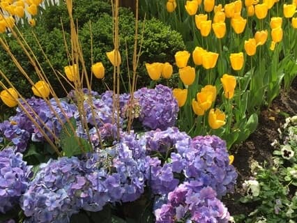 Ten Breaths Meditation