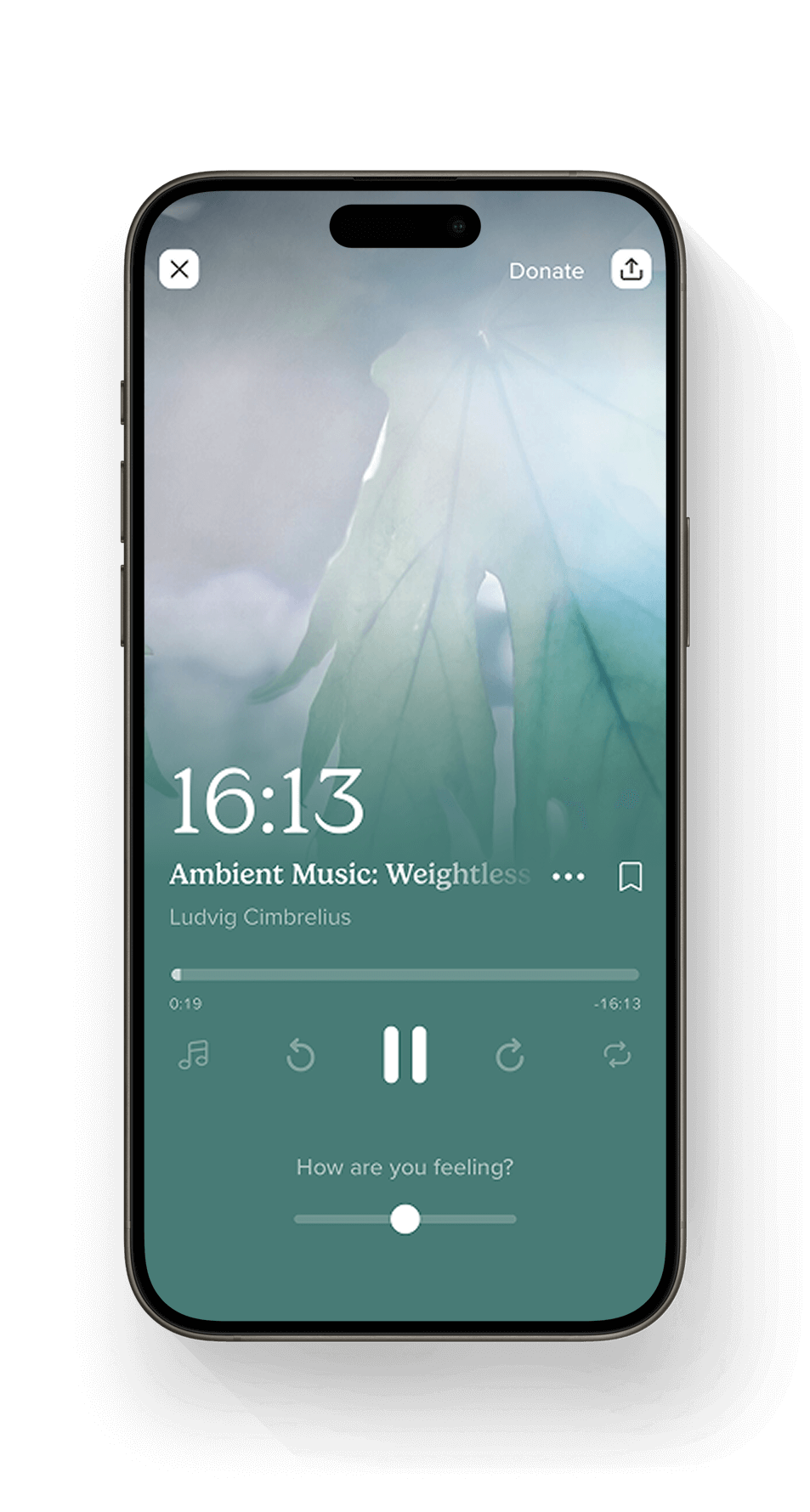 Integrate with Insight Timer